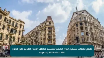 لفهم خطوات تشكيل لجان الحصر لتقسيم مناطق الإيجار القديم وفق قانون 164 لسنة 2025 بسهولة